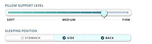 Down Dreams Classic Firm King Pillow