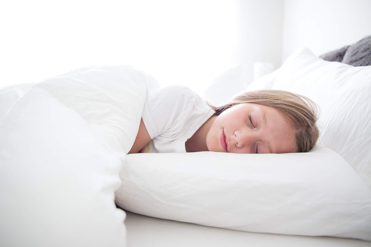 Restful Nights Trillium Standard Size 2-Pillow Set