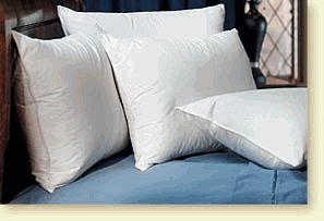 Pacific Coast Touch of Down Standard Pillow Set (4 Standard Pillows)