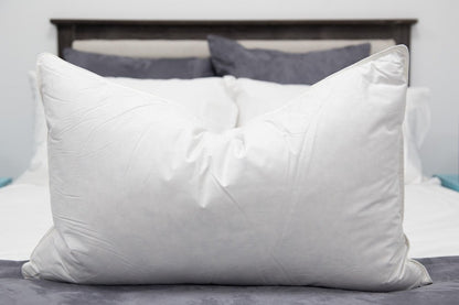 Down Dreams Classic Firm Queen Pillow