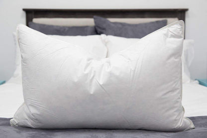 Down Dreams Classic Firm King Pillow