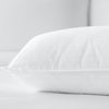 Dolce Notte II Polyester Filled Cotton Casing Hypoallergenic Standard Hotel Pillow. Set of 2