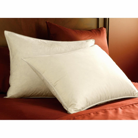 Pacific Coast Double Down Surround Pillow Set (2 Standard Pillows)