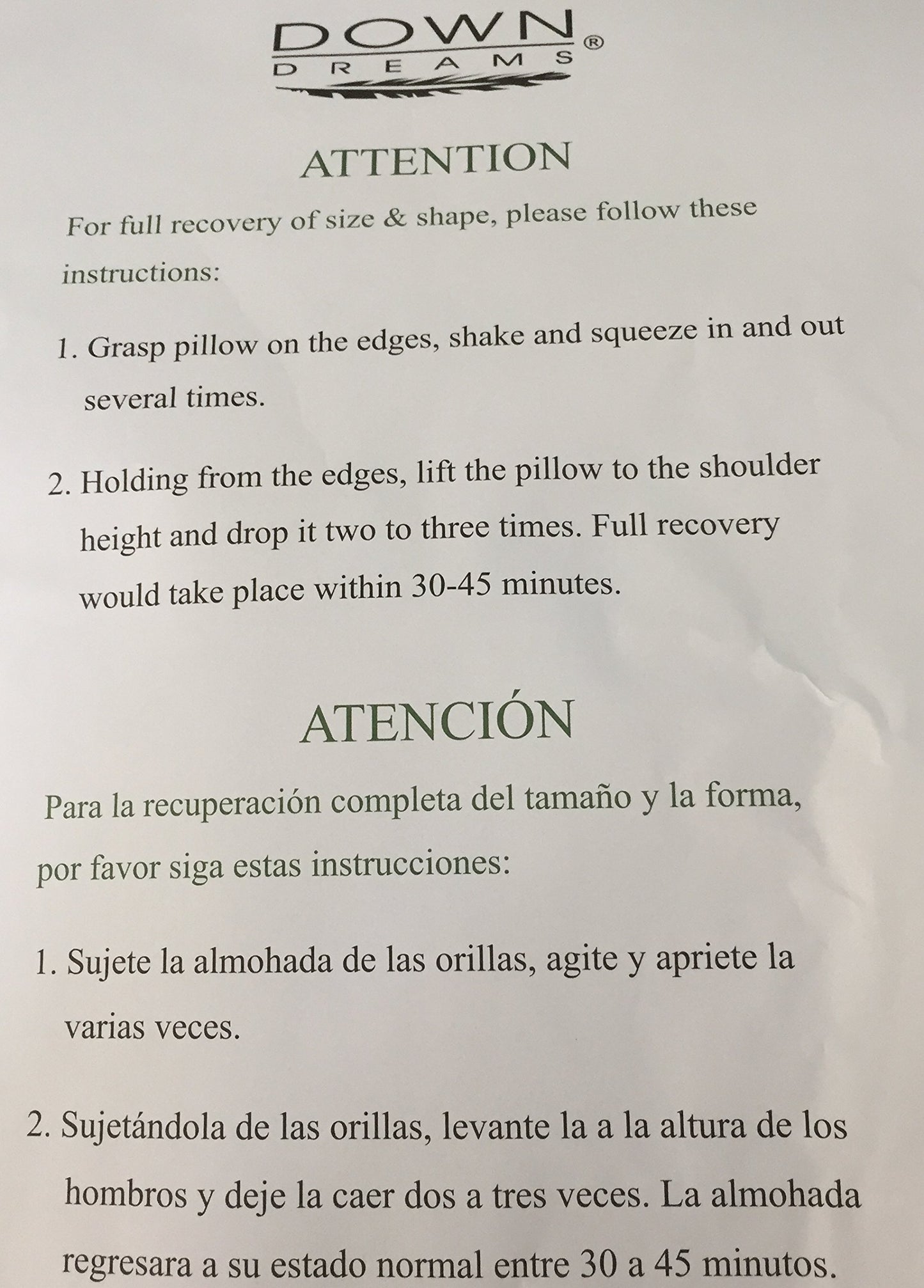 Down Dreams Standard Pillow Set. (2 Pillows)