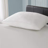 American Hotel Register - Registry Superside Gusseted 2 Queen Pillows