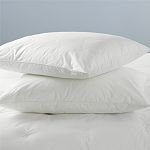 Invista Comforel Standard PillowSet (2 Pillows) found at Best Western Hotel
