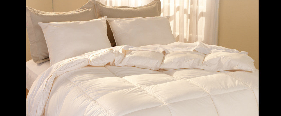 Kings of Comfort